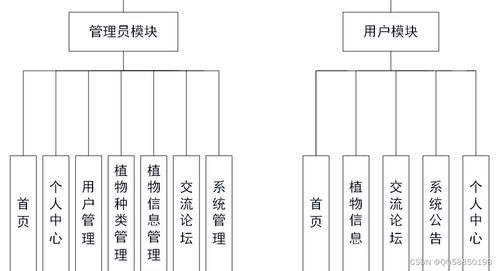 python vue elementui植物园网站的设计django